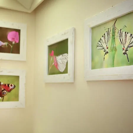 Art Museo Prato (Prato)